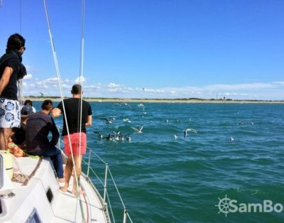 Journée découverte de la Camargue